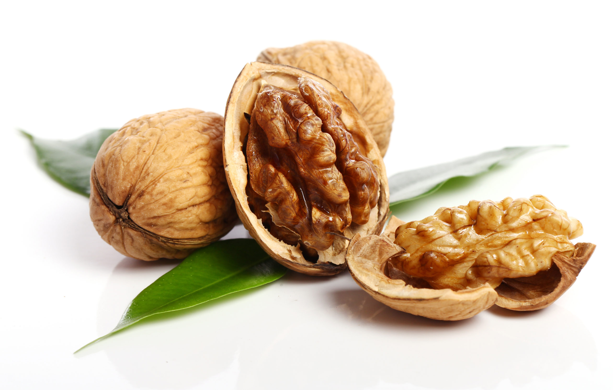 Close up of fresh walnut